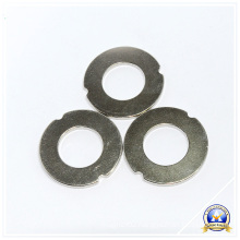 Ring Neodymium Magnets with Customized Shape
